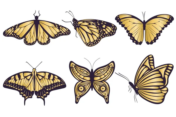 Золотые бабочки устанавливают изолированные векторные иллюстрации Лицензионные Стоковые Иллюстрации