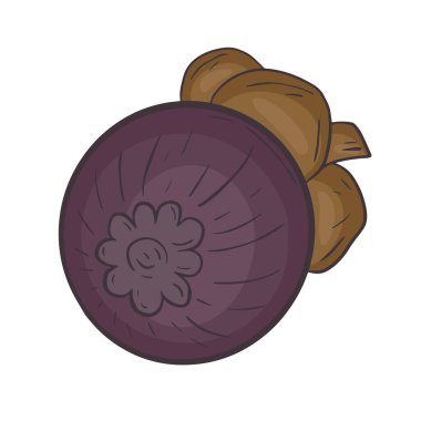 Tropikal egzotik meyve mangosteen izole vektör çizimi