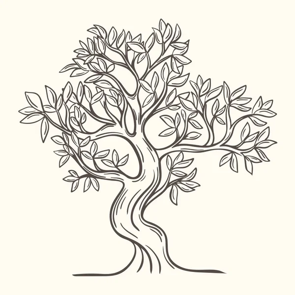 Лиственное дерево, нарисованное вручную, изолированная векторная иллюстрация Стоковый вектор