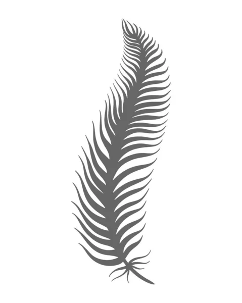 Bird feather hand engraved vector isolated illustration — 스톡 벡터