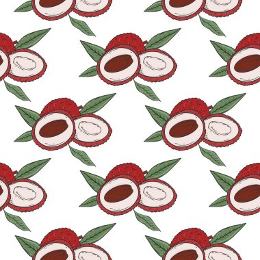 Lychee desensiz vektör el çizimi illüstrasyonu