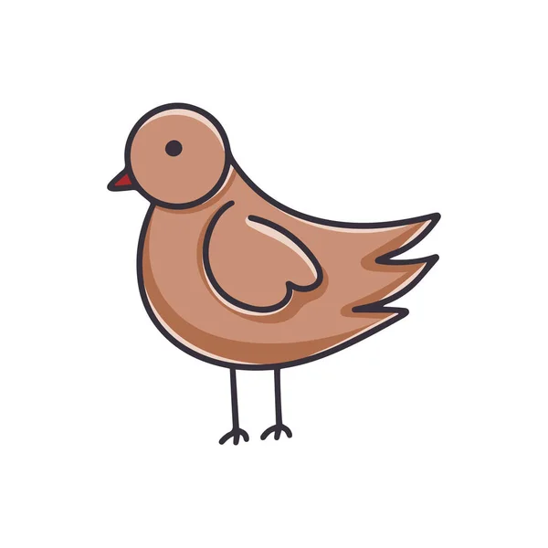 Bird Cartoon Clipart Illustrazione Vettoriale Disegnata Mano Della Fauna Selvatica — Vettoriale Stock