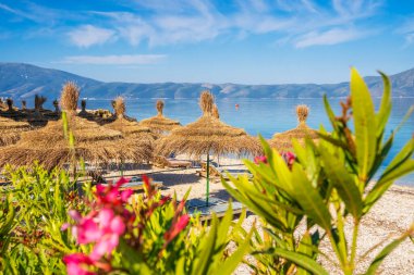 arka plan mavi deniz üzerinde pembe çiçekler