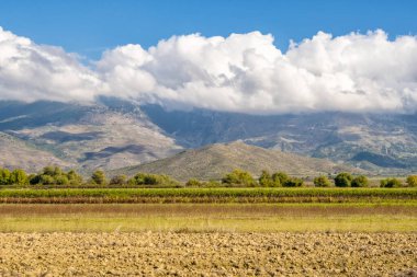 Arnavutluk 'taki dağların arka planında tarla sürmüş. Tarım arazisi
