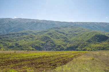 Yumuşak tepeleri ve tarımsal filizleri olan güzel dağ vadisi.