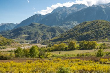 Yumuşak tepeleri ve tarımsal filizleri olan güzel dağ vadisi.