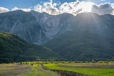 Yumuşak tepeleri ve tarımsal filizleri olan güzel dağ vadisi.