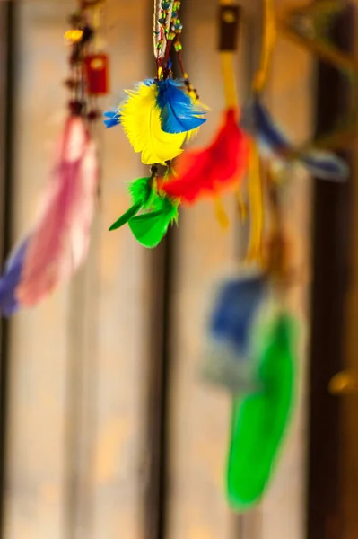 Imitation Jewelry Crafts Colored Feathers — Stock Photo, Image