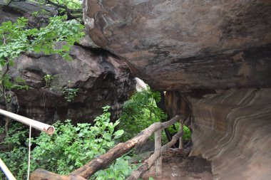 Bhopal Madhya Pradesh 'in doğal güzelliği