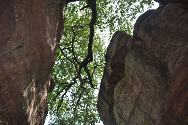 Bhopal Madhya Pradesh Természetes Szépsége — Stock Fotó