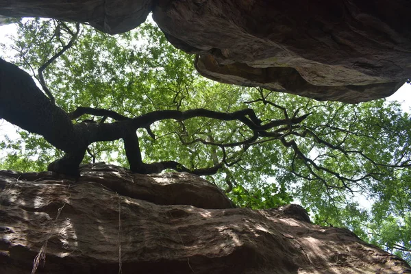 ボパール マディヤ プラデーシュ州の自然の美しさ — ストック写真