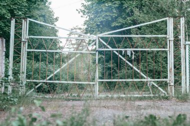Çimenli orman yolunda terk edilmiş eski metal kapı.