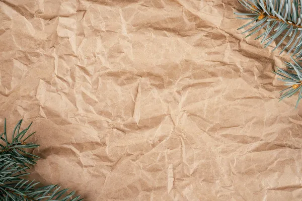 Imagem Fundo Papel Kraft Texturizado Reciclado Crumpled Áspero Com Galhos — Fotografia de Stock