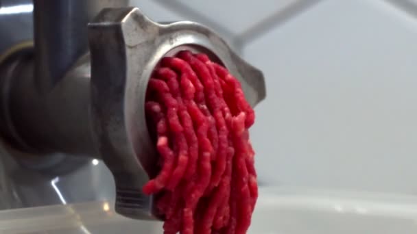 Close-up video of meat grinder with minced meat scrolled out of it. Quick video, processing meat into minced meat — Stock Video
