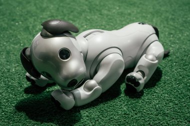 Kısmen bulanık köpek gibi beyaz robot, yeşil halıda yatıyor.