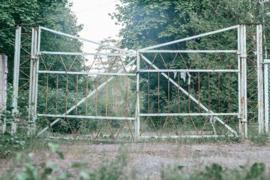 Eski terk edilmiş metal kapı, çimenli orman yolunda.