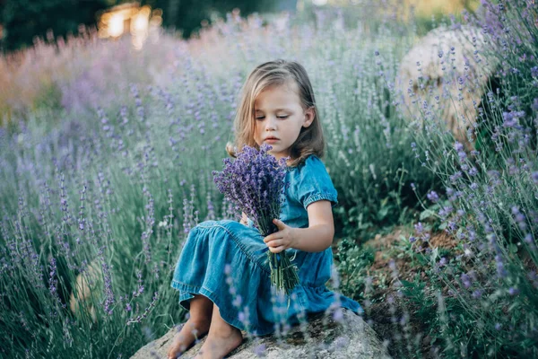 Niña 3-4 con pelo oscuro en vestido de mezclilla se sienta en piedra entre grandes arbustos de lavanda lila con ramo de flores —  Fotos de Stock