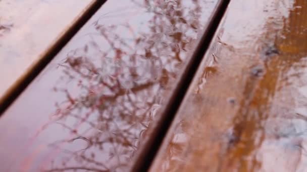 Rain dripping on water on a wooden surface. Reflection of tree branches in a puddle. Raindrops. — Vídeos de Stock