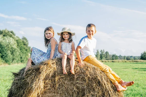 Портрет троих детей мальчика и двух девочек, сидящих на стоге сена в поле. Девушка в соломенной шляпе и улыбается. Вид спереди — стоковое фото