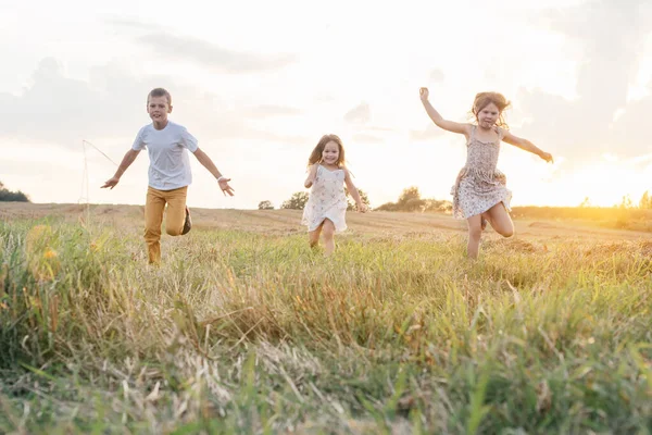 Retrato de crianças jogando jogo de captura e corrida, jumpimg em caminhos grama campo de feno de grama seca no nascer do sol. — Fotografia de Stock