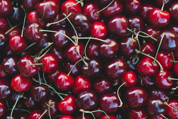 Imagen de fondo de las cerezas rojas maduras. Vista superior, cama plana. Copiar espacio — Foto de Stock