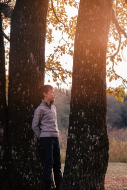 9-10 yaşlarında bir çocuk, sonbahar parkında güneş ışınları altında iki kalın meşe gövdesinin arasında dikiliyor ve düşünceli bir şekilde yana bakıyor. Koyu renk saçlı, gri kazaklı bir çocuk. Dikey