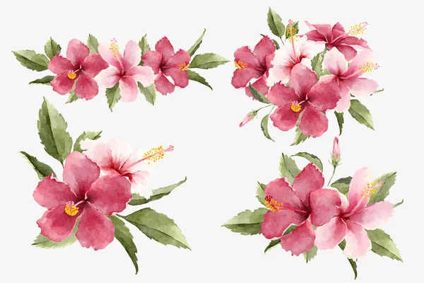 Aquarelle Tropical Hibiscus Bouquets Fleurs — Image vectorielle