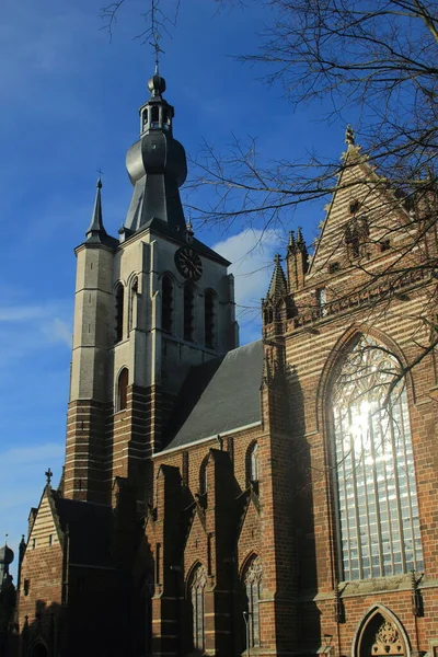 Aarschot Flanders Belçika Daki Ortaçağ Gotik Kilisesi Canavar — Stok fotoğraf