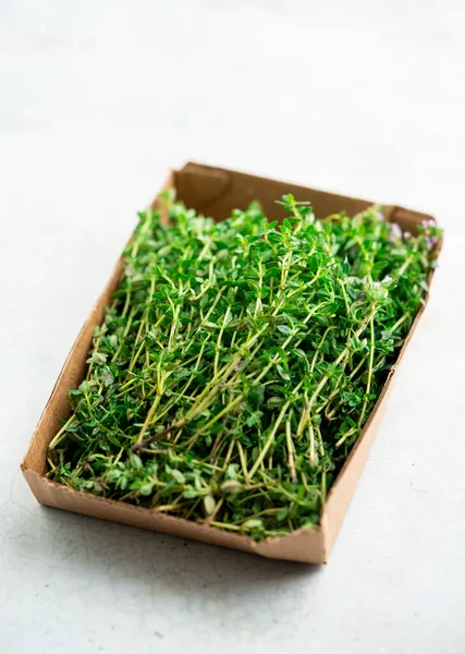 Taze kekik konteynırda, yukarıdan. Üst görünüm, beyaz üzerine izole