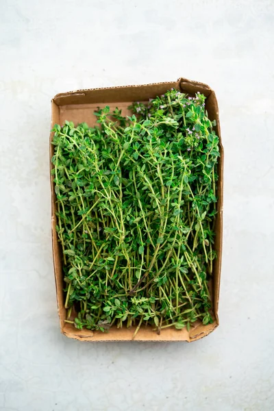 Fresh Thyme Container Top View Isolated White — Stock Photo, Image