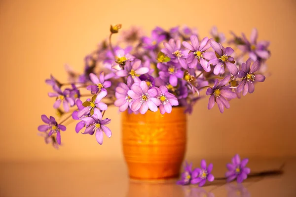 Hepatica purple flowers with fallen petals in a small glass vase isolated on orange color background.