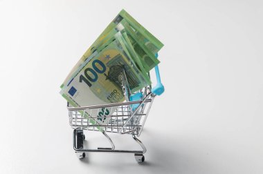 Beyaz arka plan üzerinde izole 100 euro notları ile alışveriş arabası