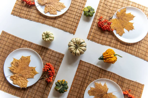 Kleine Kürbisse Und Trockene Braune Ahornblätter Auf Weißen Tellern Herbstliche — Stockfoto