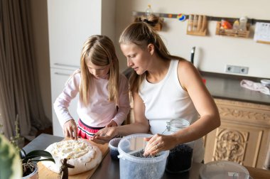 Anne ve kızı evde tatlı tatlı kremalı pasta hazırlıyorlar.