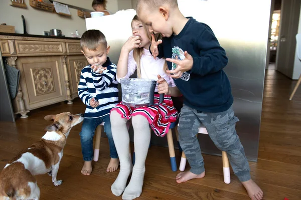 Üç çocuk ve köpek mutfakta tatlı krema yerken anne de bayram pastası hazırlıyor.