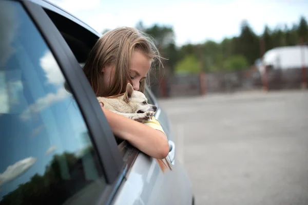 Szczęśliwe Dziecko Dziewczyna Pies Chihuahua Patrząc Przez Otwarte Okno Samochodu — Zdjęcie stockowe