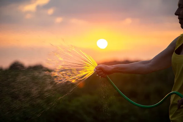 Gardener Female Holding Hand Hose Sprayer Watering Plants Garden Sunset — Stockfoto