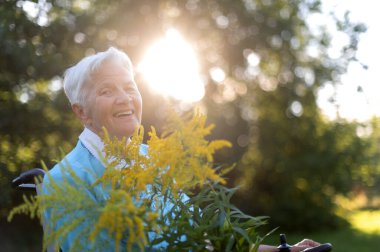 Mutlu yaşlı yaşlı kadın tekerlekli sandalyede oturuyor ve elinde bir buket sarı kır çiçeği tutuyor.