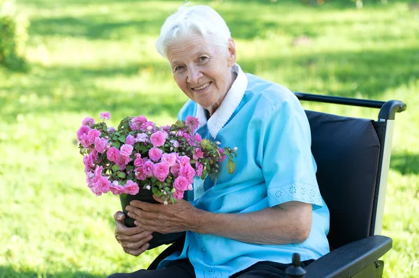 Mutlu yaşlı yaşlı kadın tekerlekli sandalyede oturuyor ve elinde yeşil bahçede mor bir saksı tutuyor.