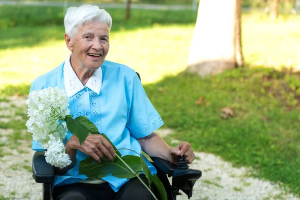 Smiling Senior Woman Wheelchair White Hydrangea Flower — Stock Photo, Image