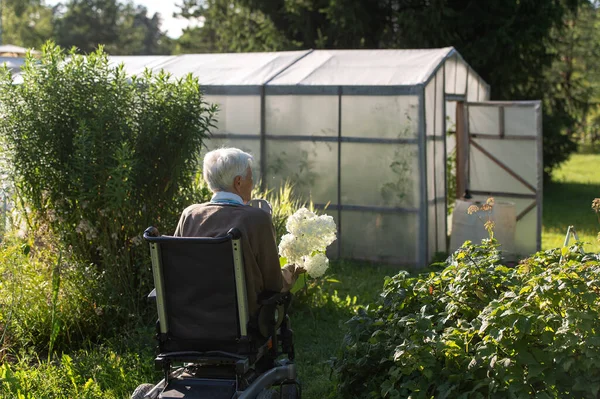 在温室附近的花园里 一个坐轮椅的老妇人的后视镜 — 图库照片
