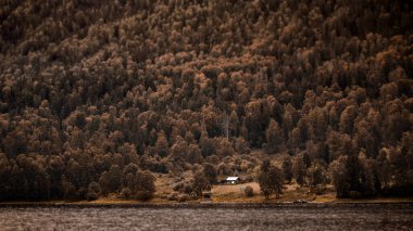 Göl kenarındaki ormanın ortasında, ıssız bir yerde rahat bir ev. Rusya, Altai.