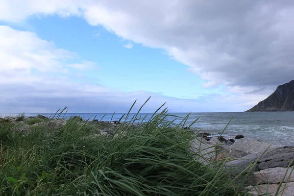 Hierba Sobre Fondo Del Cielo Azul Agua Lofoten Flakstad —  Fotos de Stock