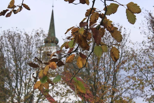 Kulenin arka planında çok renkli yapraklar - Heggedal