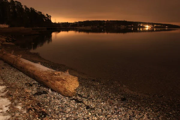 Tree Lying Seashore Dusk Lysaker — Fotografia de Stock