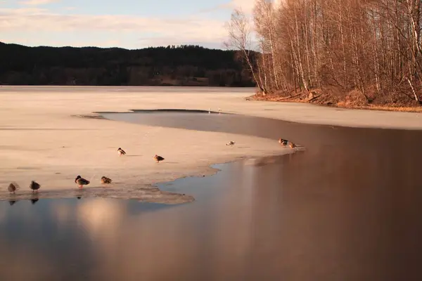 Krajina Zamrzlým Jezerem Eiksmarka — Stock fotografie