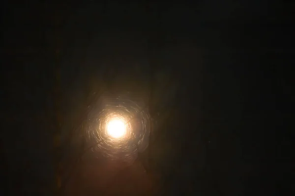 Baumsilhouette Gegen Den Mond Srkedalen — Stockfoto
