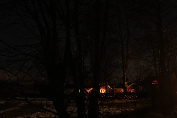 Σιλουέτες Δέντρων Νύχτα Srkedalen — Φωτογραφία Αρχείου