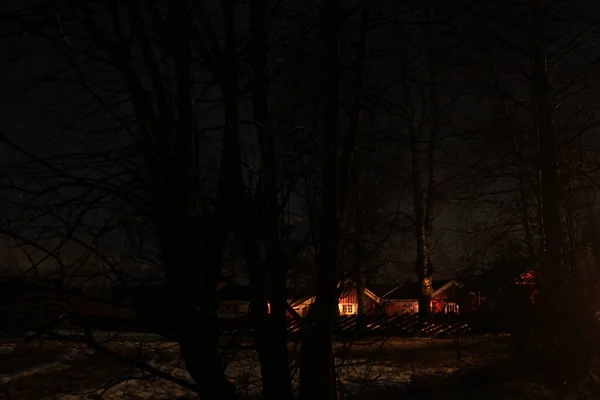 Siluetas Árboles Por Noche Srkedalen — Foto de Stock