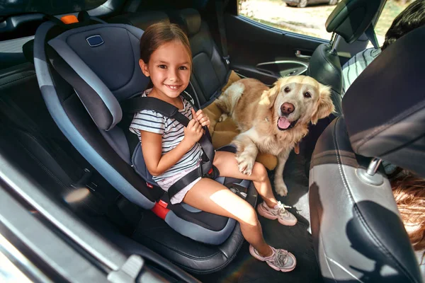 Cute Little Girl Dziecko Foteliku Chronionym Pasami Bezpieczeństwa Wraz Jej — Zdjęcie stockowe